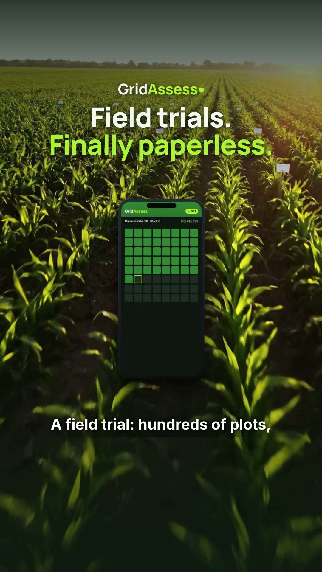Grid Assess 9:16 video made by Alconost Studio