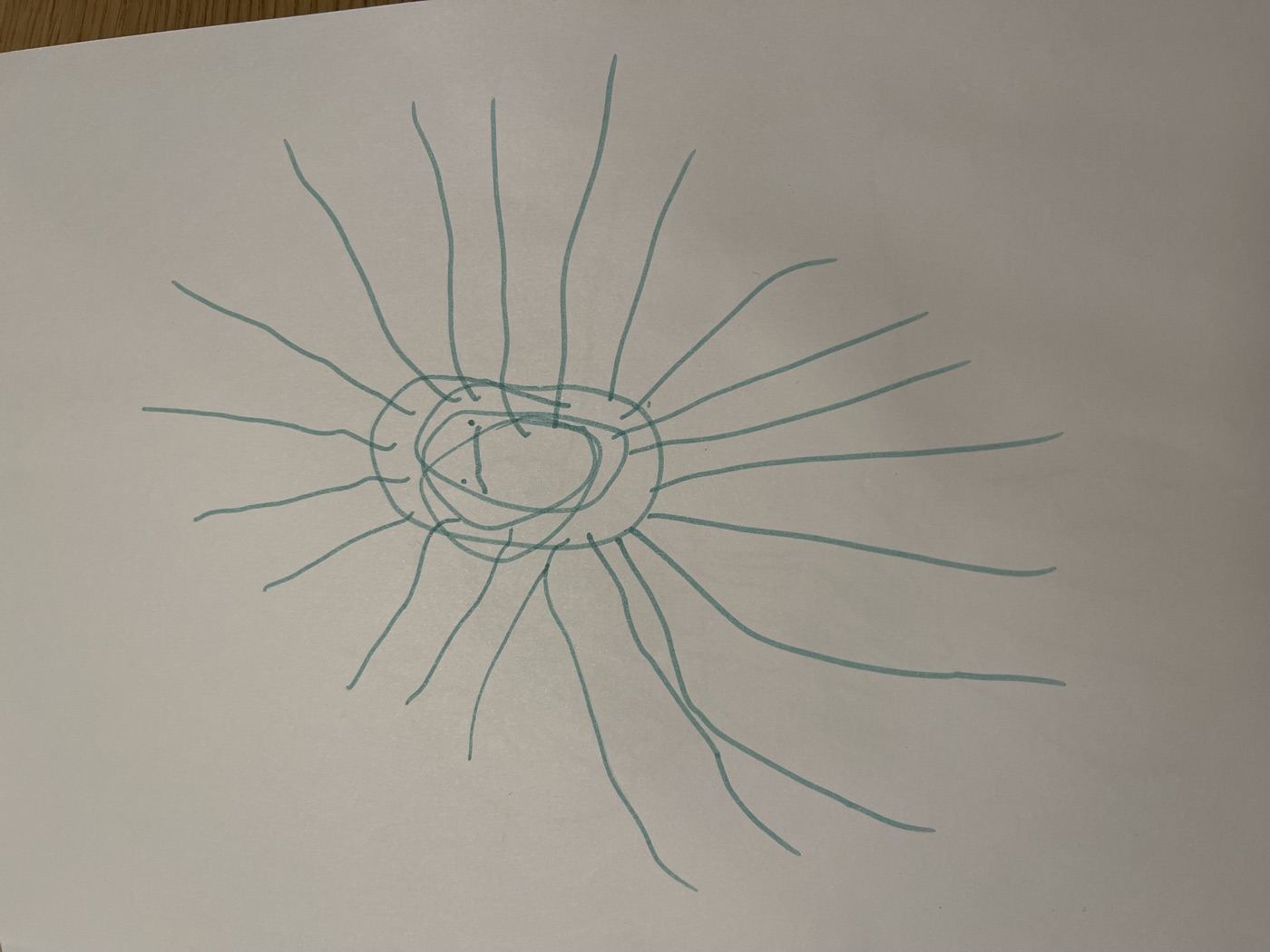 Made from a kid’s drawing